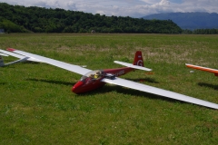 IMGP5131