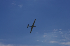 IMGP5207