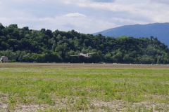 IMGP5210