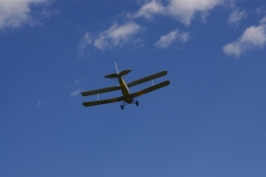 IMGP5222