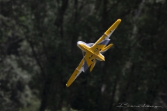 avanti_52134558774_o