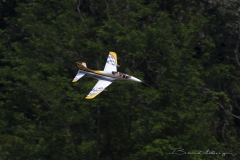 avanti_52134811935_o