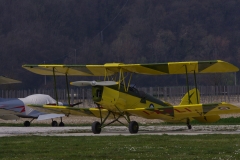 IMGP7108