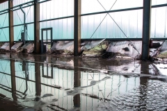 WhatsApp Image 2018-10-31 at 12.26.10