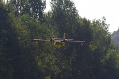 IMGP8329