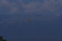 IMGP8333