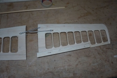 Timoni
