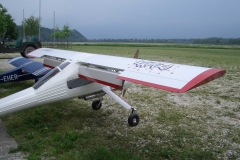 Wilga010