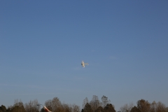 BV0B2375