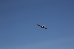 BV0B2385