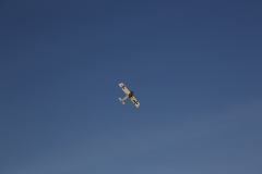 BV0B2395