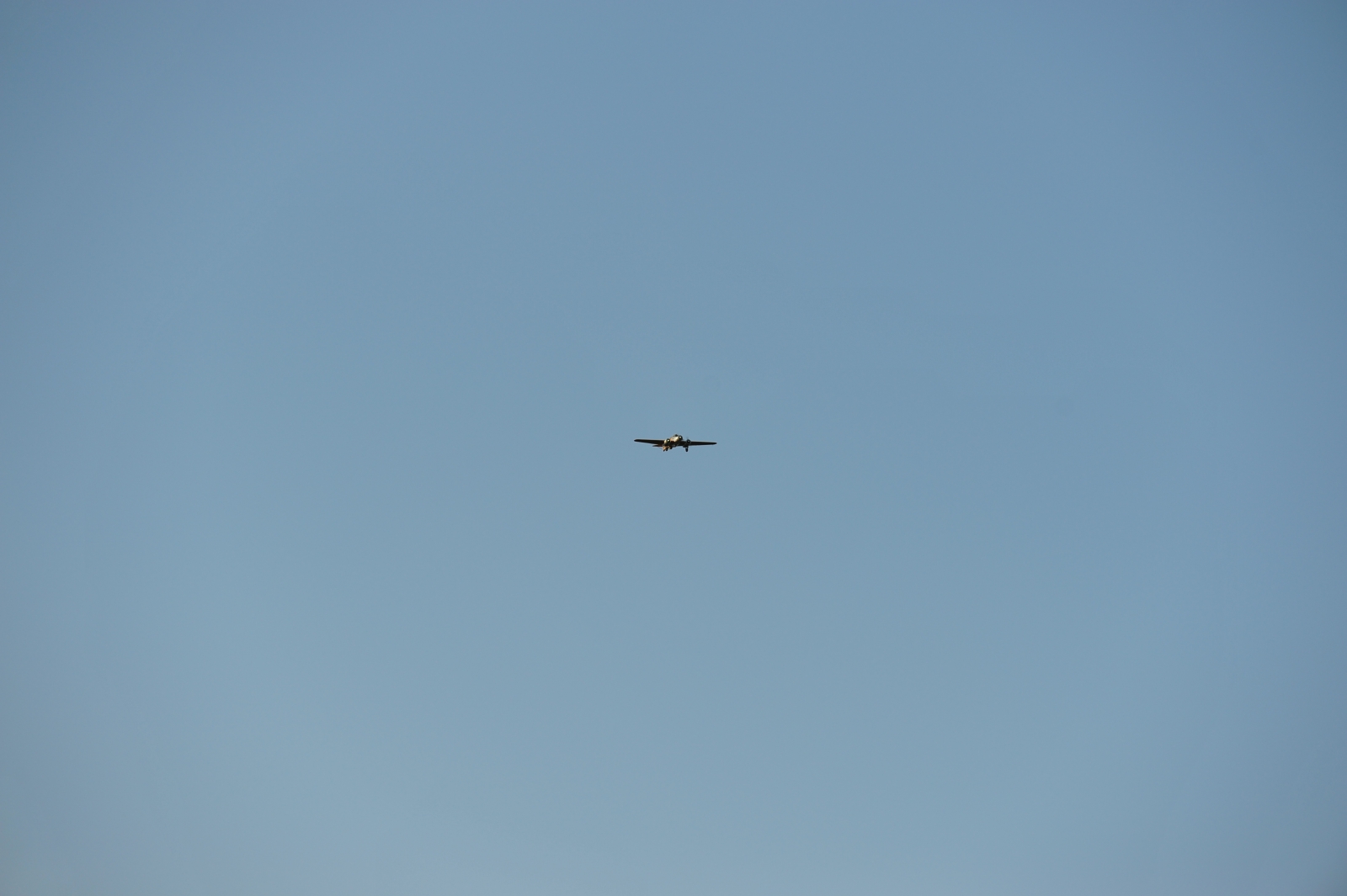 DSC_6343_2112