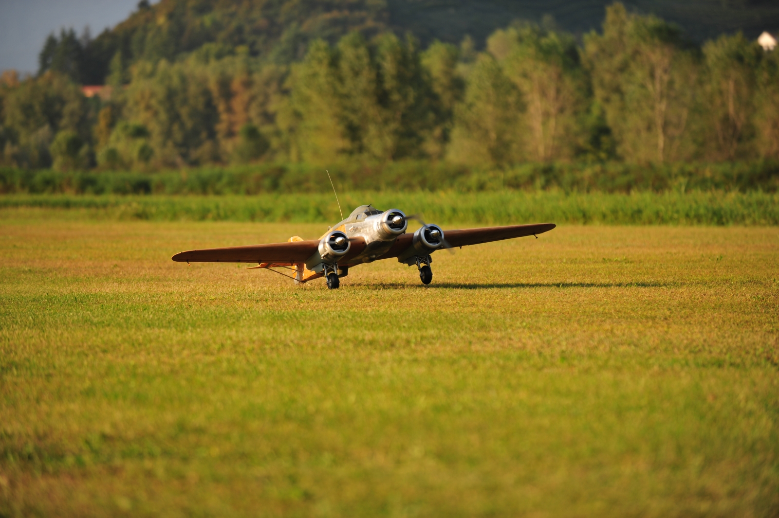DSC_6376_2145