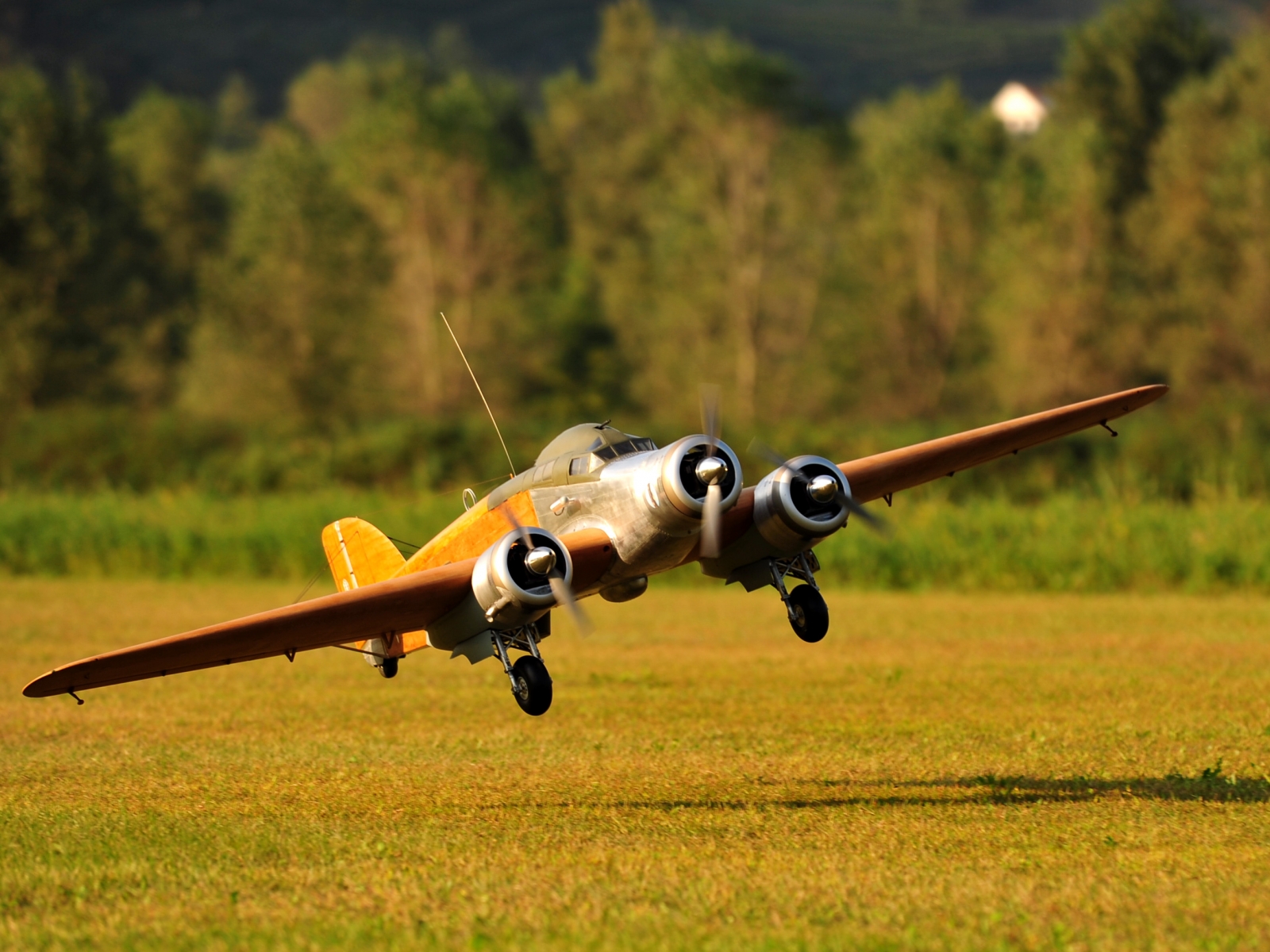DSC_6377_2146