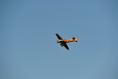 DSC_6359_2128