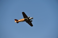 DSC_6363_2132