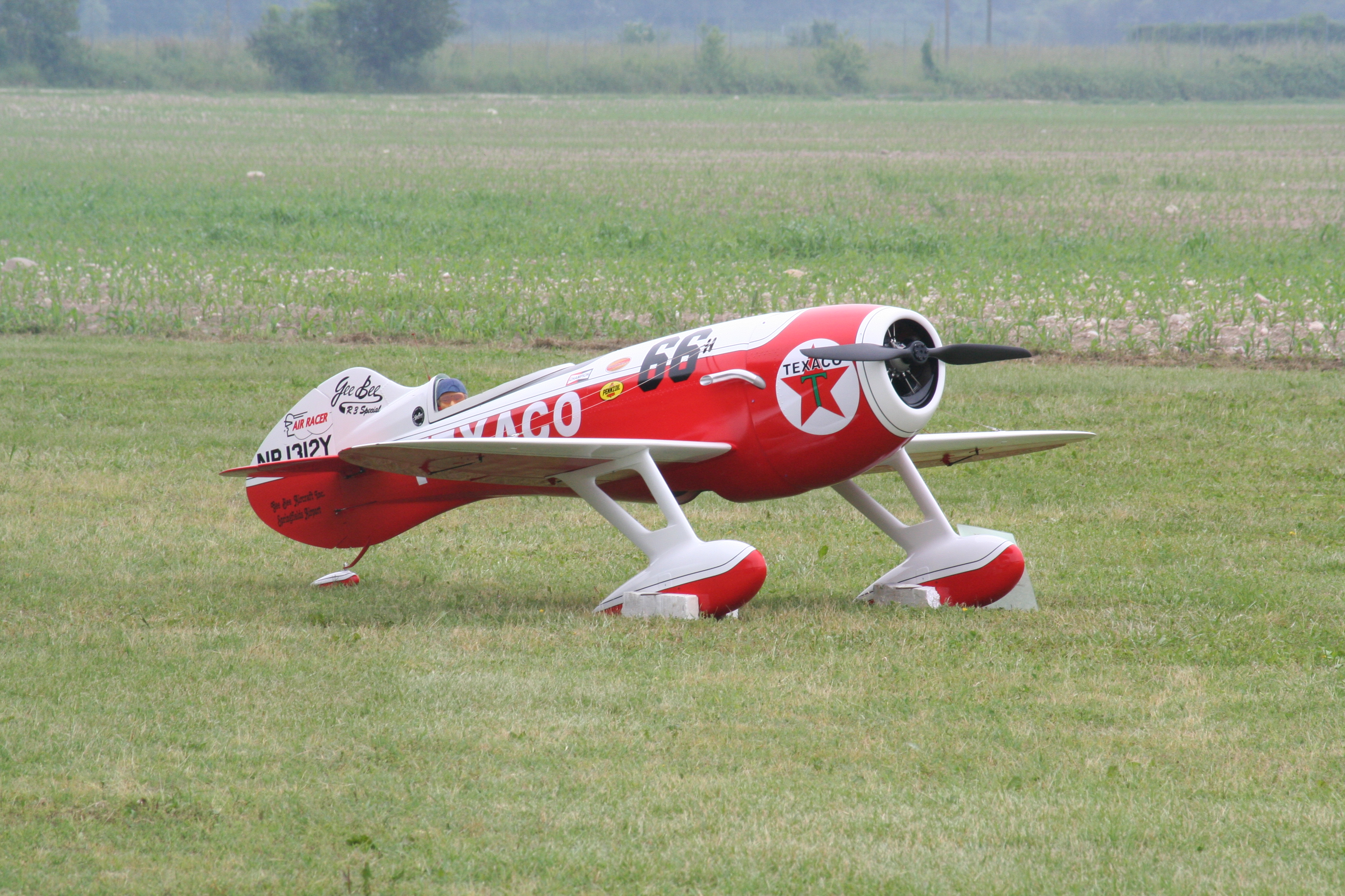 Nervesa2006CP_149