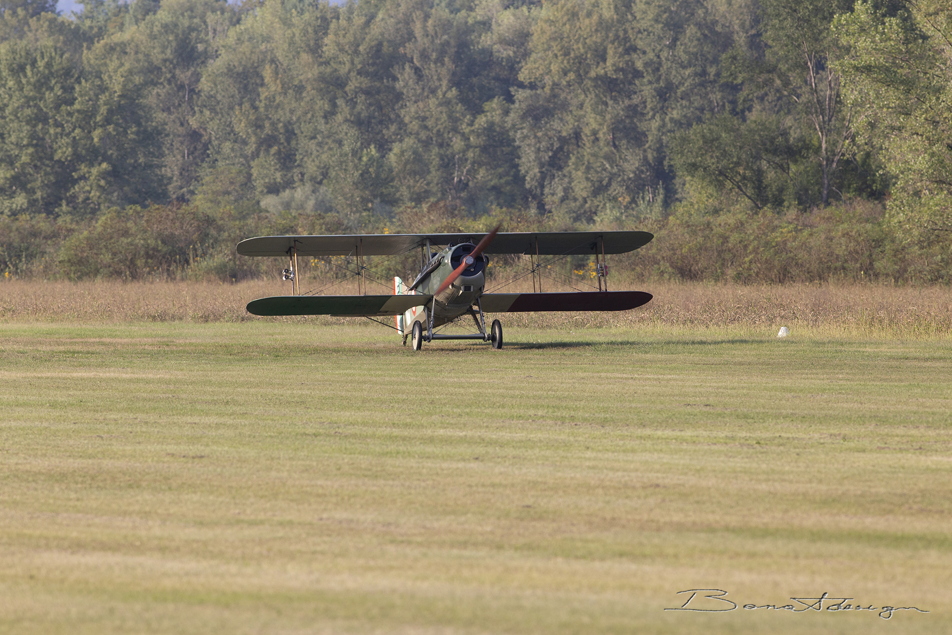 nervesa-della-battaglia-flugtag_51561755342_o