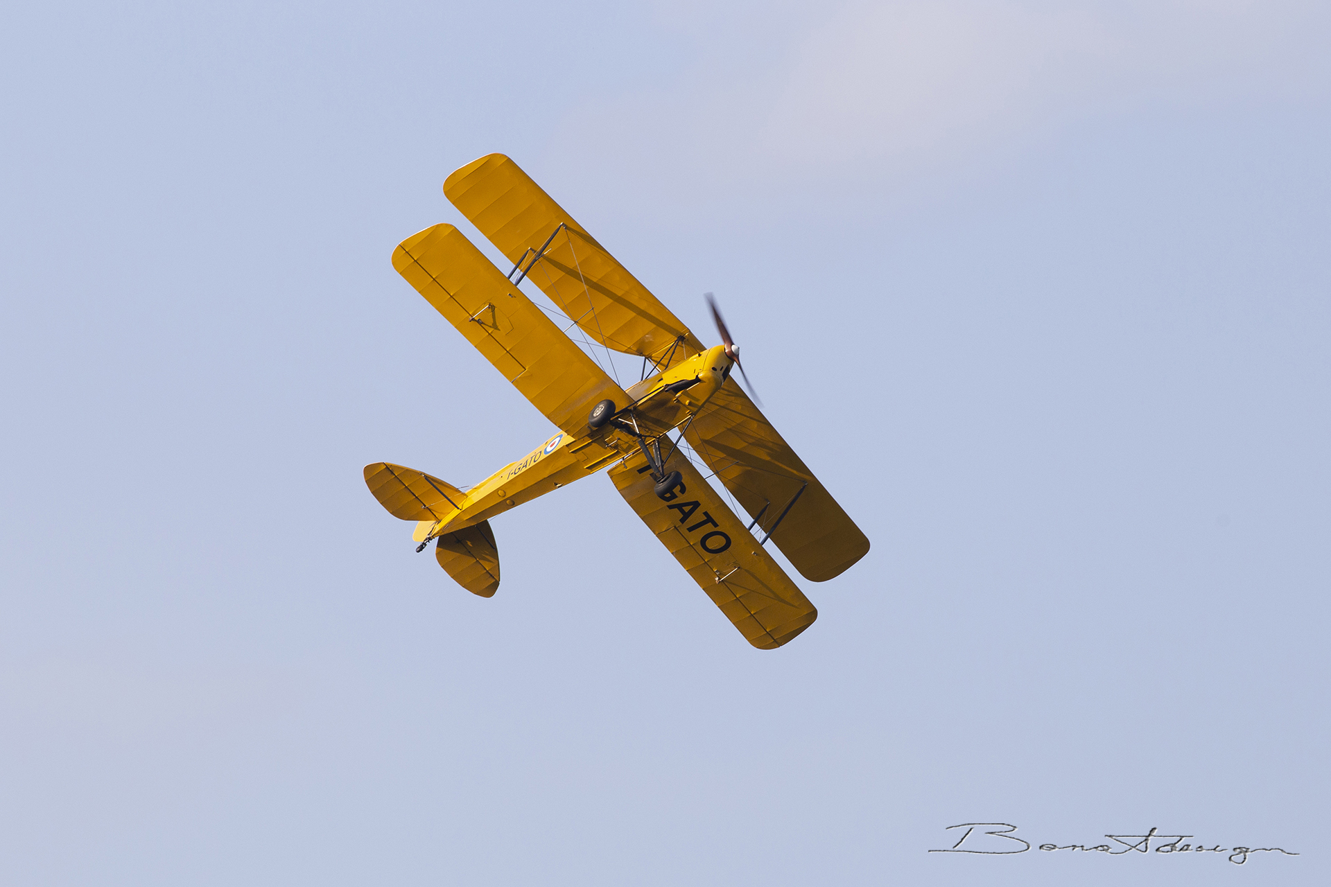 nervesa-della-battaglia-flugtag_51561757602_o
