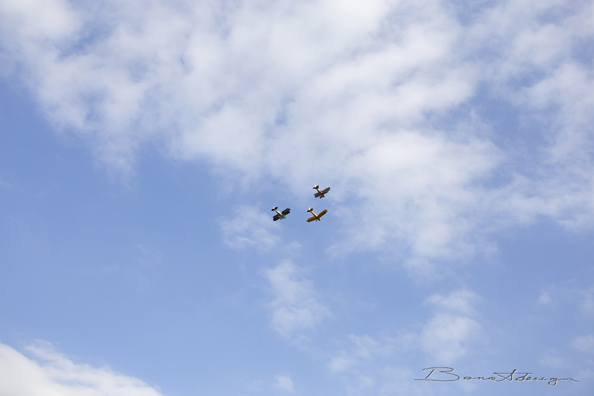 nervesa-della-battaglia-flugtag_51561781542_o