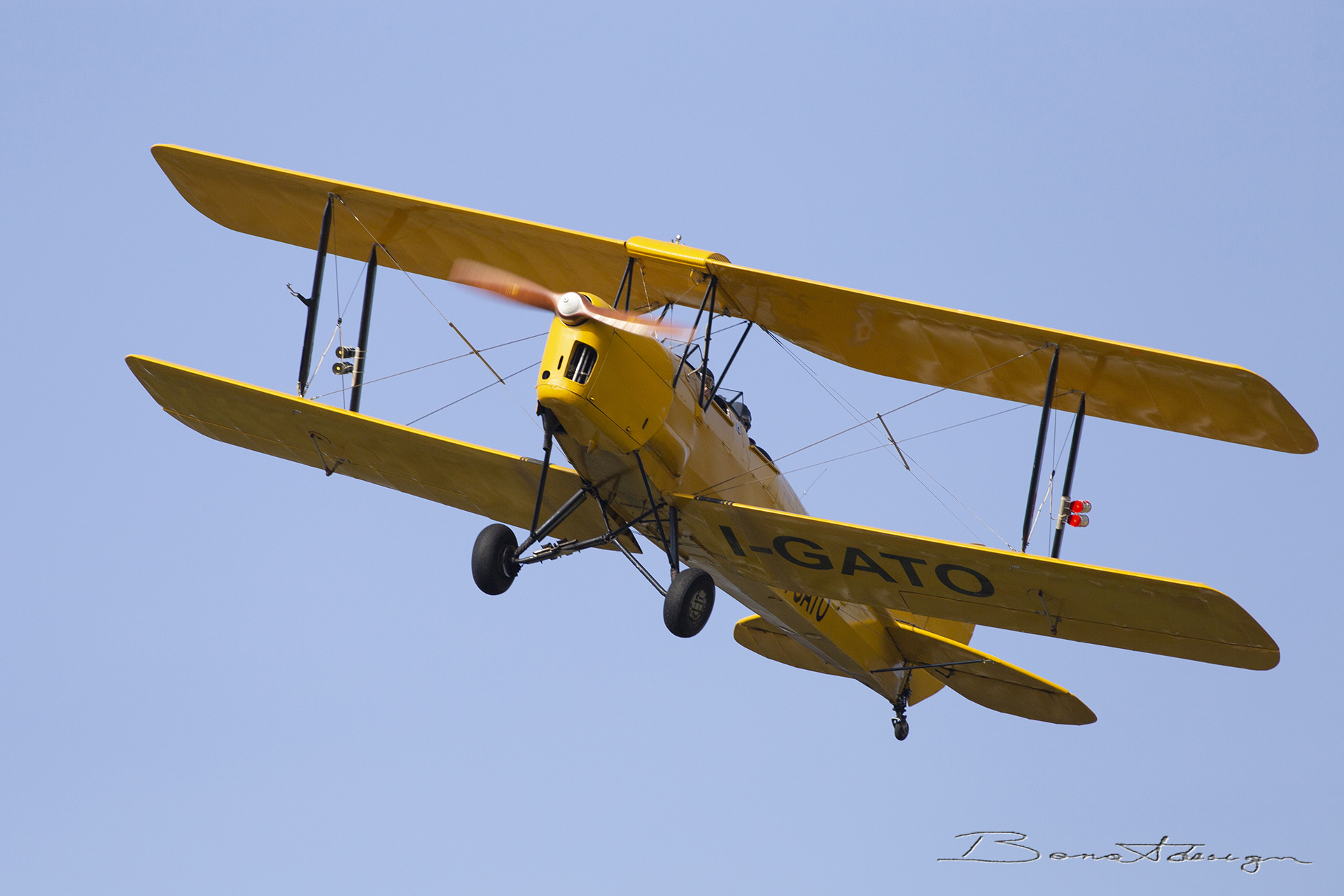 nervesa-della-battaglia-flugtag_51561806172_o