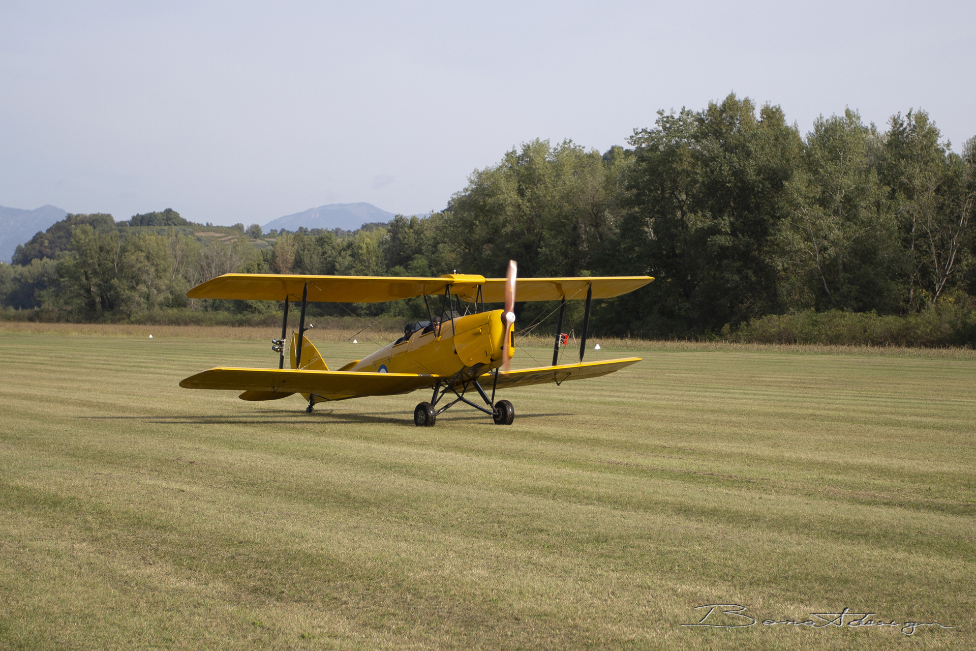 nervesa-della-battaglia-flugtag_51561808107_o