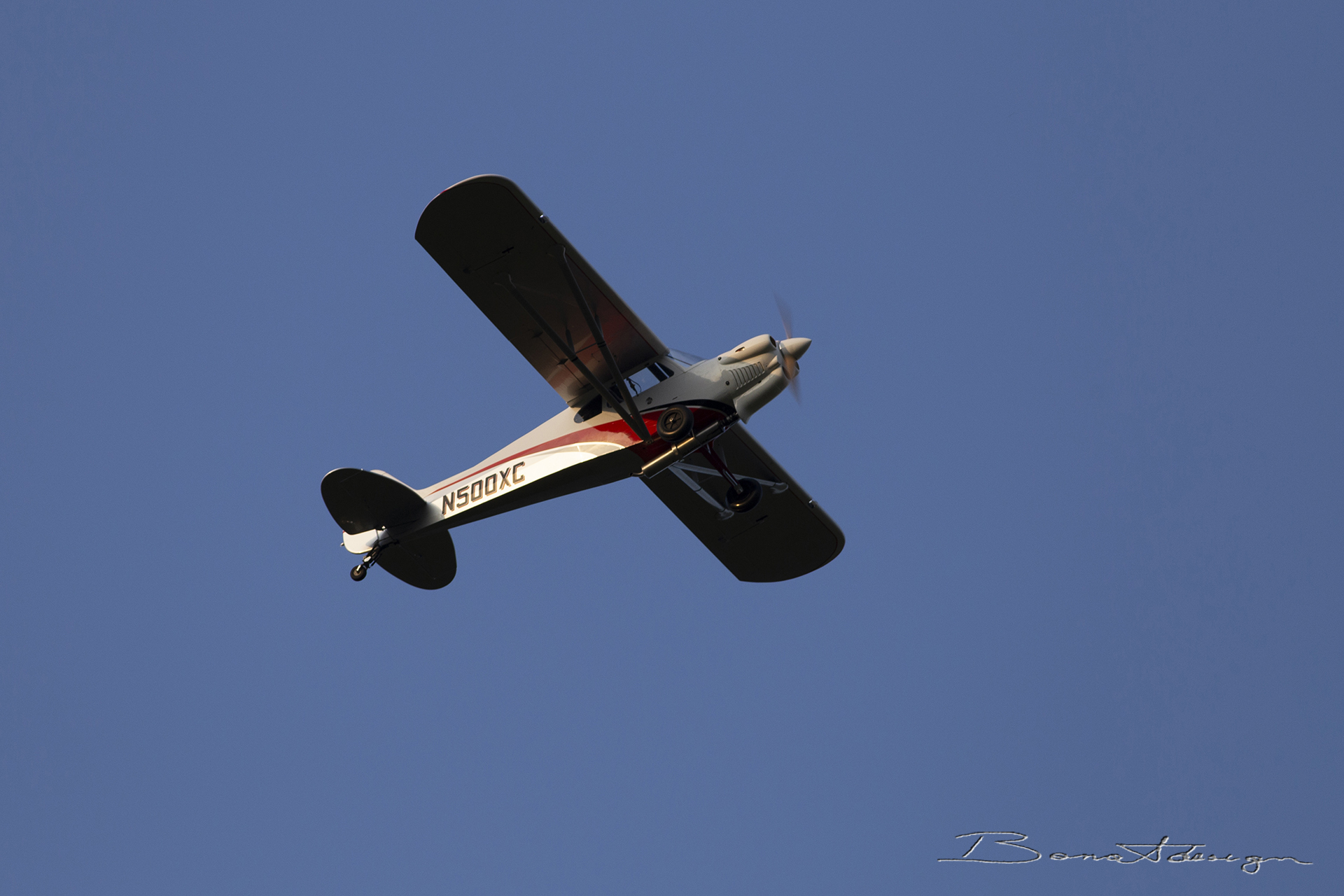 nervesa-della-battaglia-flugtag_51562536811_o