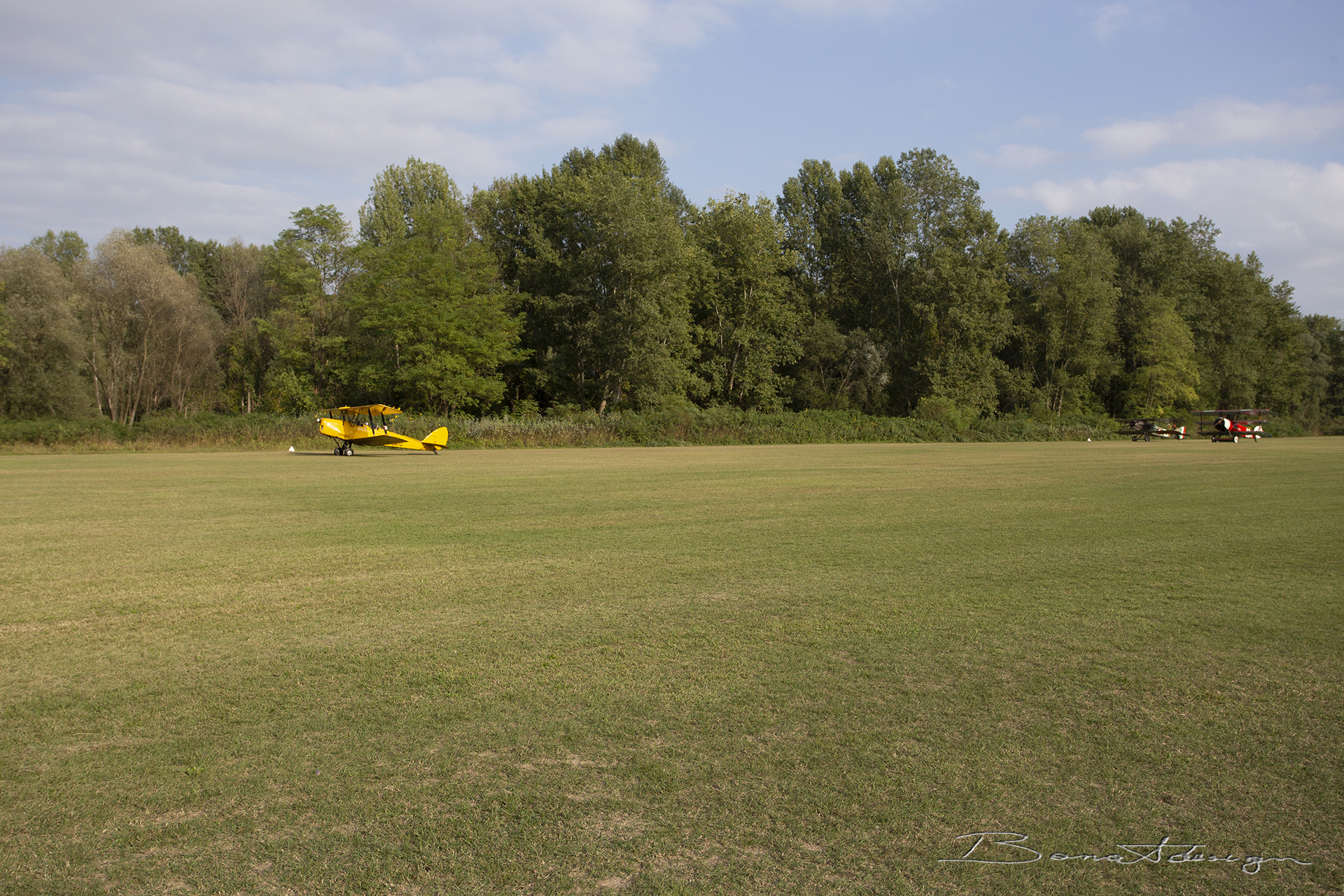 nervesa-della-battaglia-flugtag_51563264209_o