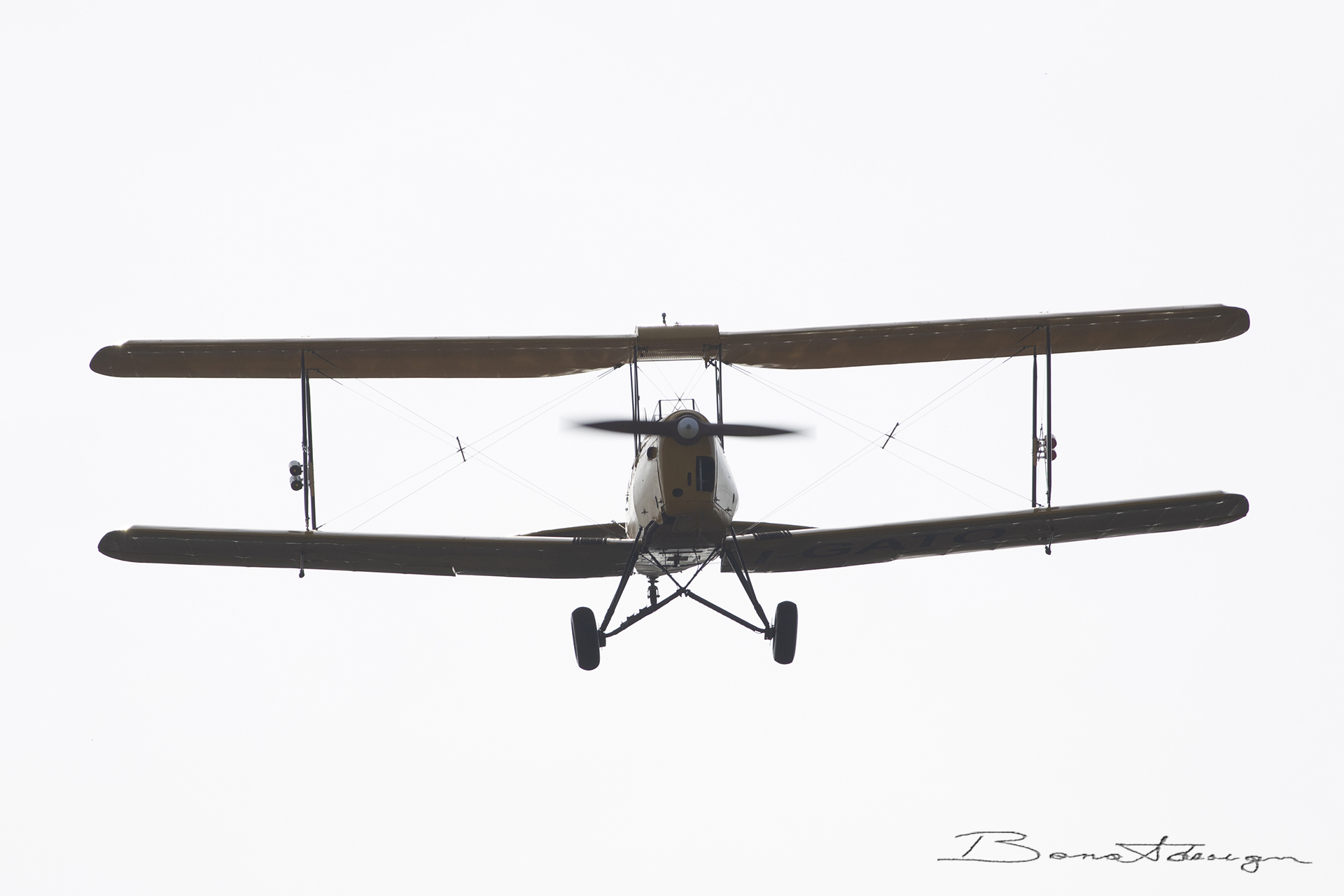 nervesa-della-battaglia-flugtag_51563285724_o