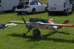 IMGP7404