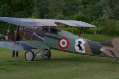 IMGP7415