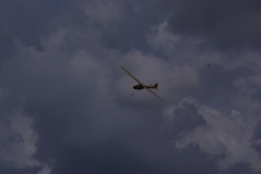 IMGP7436