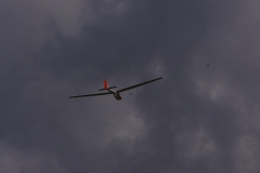 IMGP7444