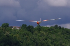 IMGP7447