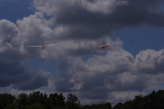 IMGP7452