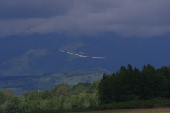 IMGP7455