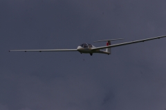 IMGP7459