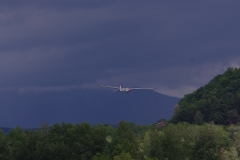 IMGP7501