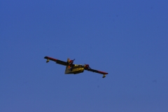 IMGP9009