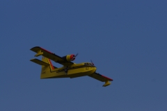 IMGP9010