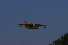 IMGP9021