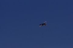 IMGP9061